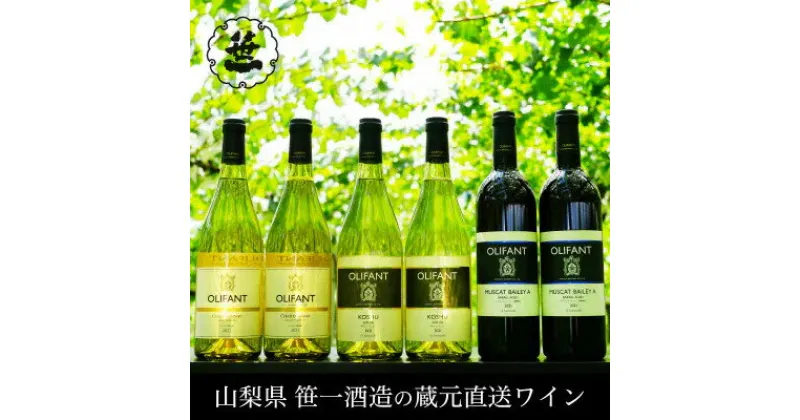 【ふるさと納税】【蔵元直送】笹一酒造・OLIFANT(オリファン)ワイン 750ml×6本セット