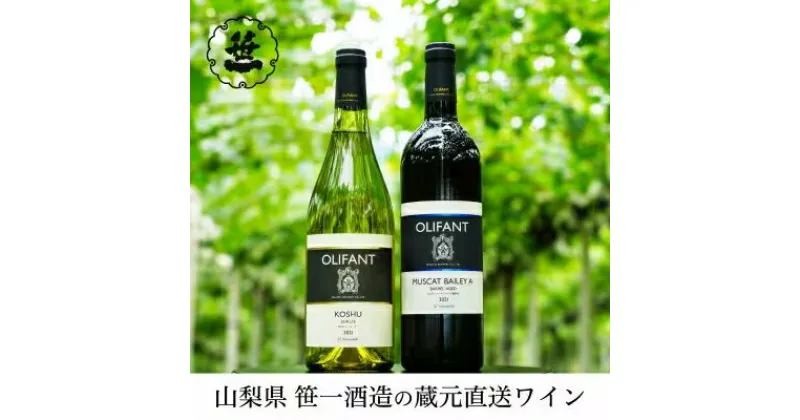 【ふるさと納税】【蔵元直送】笹一酒造のOLIFANT(オリファン)ワイン＜甲州・MBA＞2本セット