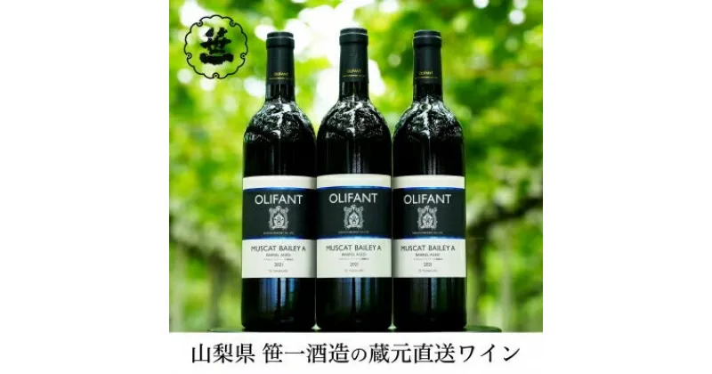 【ふるさと納税】【蔵元直送】笹一酒造のOLIFANT(オリファン)ワイン＜赤＞3本セット