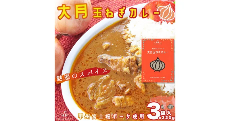 【ふるさと納税】大月産玉ねぎカレー　220g　3袋