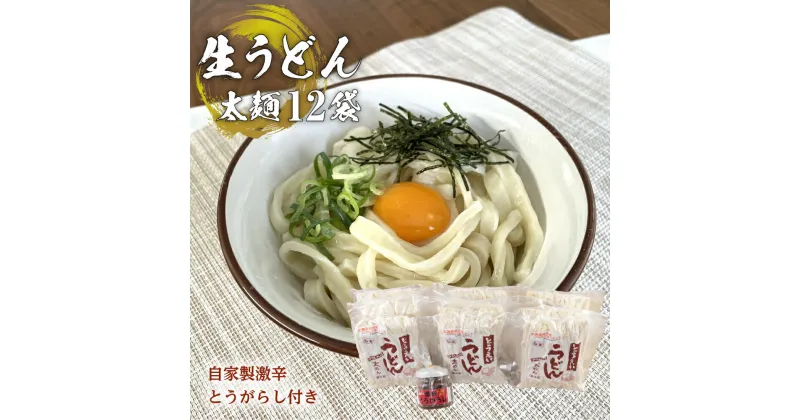 【ふるさと納税】生うどん太麺12袋セット　自家製激辛とうがらし付き