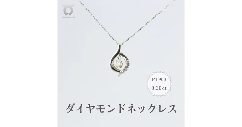 【ふるさと納税】PT900　ダイヤモンド　ネックレス　0.20ct　17366A　Pt　DIA　PN レディース ファッション ギフト プレゼント 誕生日 記念日 お祝い おしゃれ 大人 ジュエリーケース付 アクセサリー ジュエリー