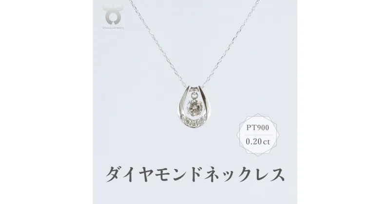 【ふるさと納税】PT900　ダイヤモンド　ネックレス　0.20ct　17368A　Pt　DIA　PN レディース ファッション ギフト プレゼント 誕生日 記念日 お祝い おしゃれ 大人 ジュエリーケース付 アクセサリー ジュエリー