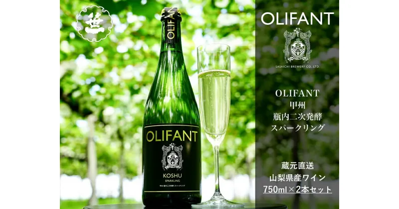 【ふるさと納税】【山梨ワイン】蔵元直送「OLIFANT甲州瓶内二次発酵スパークリング750ml×2本セット」