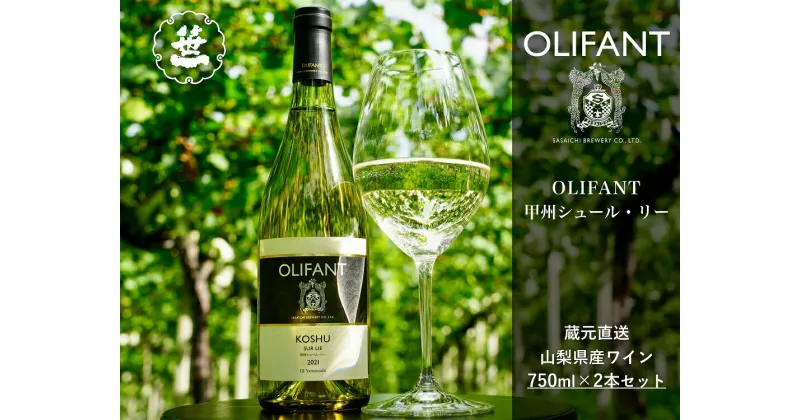 【ふるさと納税】【山梨ワイン】蔵元直送「OLIFANT甲州シュール・リー750ml×2本セット」