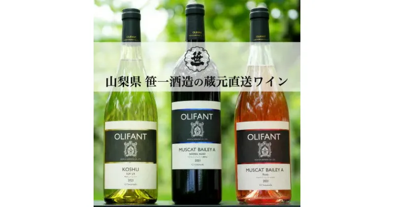 【ふるさと納税】【蔵元直送】笹一酒造のOLIFANT(オリファン)ワイン＜赤・白・ロゼ＞6本セット