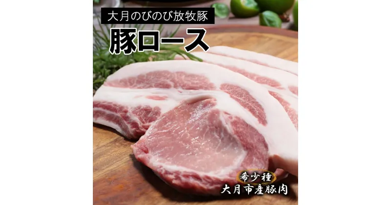 【ふるさと納税】【希少豚】大月のびのび放牧豚【カツ・ステーキ用ロース】750g 以上(約150g×5)