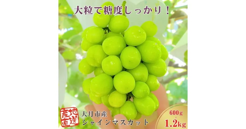 【ふるさと納税】【2025年収穫分先行予約】産地直送 シャインマスカット 房 約 1.2 kg or 600g おすすめ 人気 予約 山梨県 産地直送 フルーツ ブドウ 果物 ぶどう シャイン マスカット くだもの お届け 国産 葡萄 先行予約 贈答 新鮮