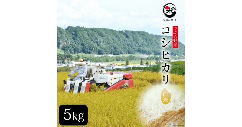 【ふるさと納税】米 令和6年 新米予約 つぶら野米 コシヒカリ 白米 5kg [つぶら野米 山梨県 韮崎市 20741900] こめ コメ お米 精米 こしひかり