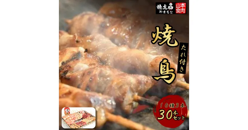 【ふるさと納税】焼き鳥 焼鳥たれ付き10種3本(30本セット) [山本食肉 山梨県 韮崎市 20742068] やきとり 焼鳥 セット 鶏肉 冷凍 小分け 食べ比べ バーベキュー BBQ 惣菜 串 おかず おつまみ 国産 ねぎま もも つくね 砂肝