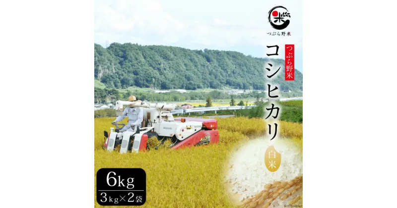 【ふるさと納税】米 令和6年 新米予約 つぶら野米 コシヒカリ 白米 3kg×2袋 計6kg / つぶら野米 / 山梨県 韮崎市 [20741634] こめ コメ お米 精米 こしひかり