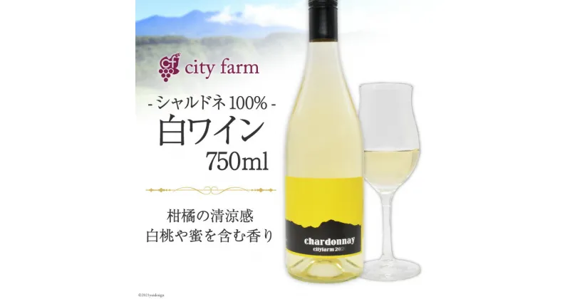 【ふるさと納税】シャルドネ100% 白ワイン 750ml×1本（アルコール度数12％）＜city farm＞【山梨県韮崎市】