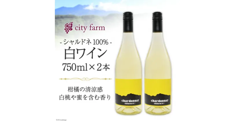 【ふるさと納税】シャルドネ100% 白ワイン 750ml×2本（アルコール度数12％）＜city farm＞【山梨県韮崎市】