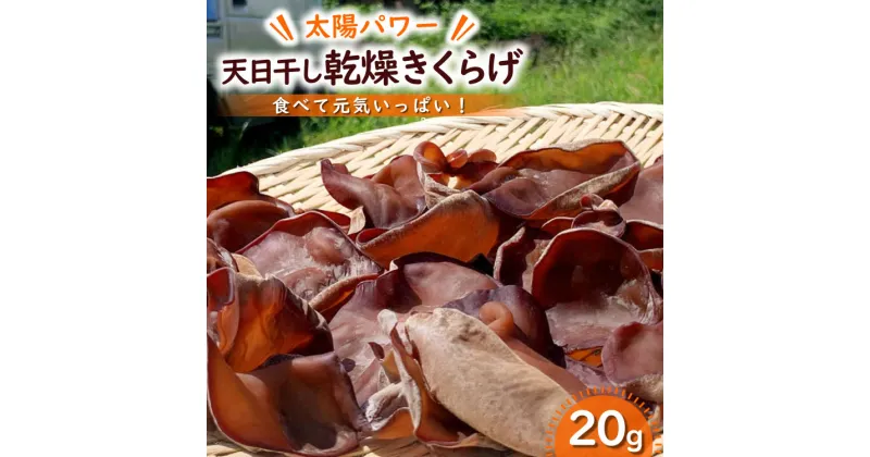 【ふるさと納税】【太陽パワー】天日干し乾燥きくらげ 20g [山梨げんき農園 山梨県 韮崎市 20742269]