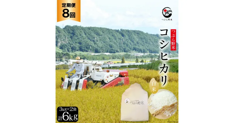 【ふるさと納税】米 8回 定期便 つぶら野米 コシヒカリ 白米 3kg×2袋×8回 総計48kg [つぶら野米 山梨県 韮崎市 20741916] こめ コメ お米 精米 こしひかり