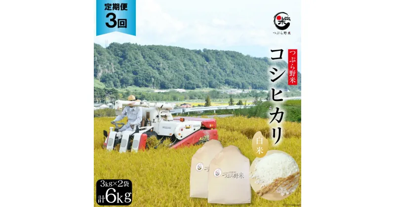 【ふるさと納税】米 3回 定期便 つぶら野米 コシヒカリ 白米 3kg×2袋×3回 総計18kg / つぶら野米 / 山梨県 韮崎市[20741641] こめ コメ お米 精米 こしひかり