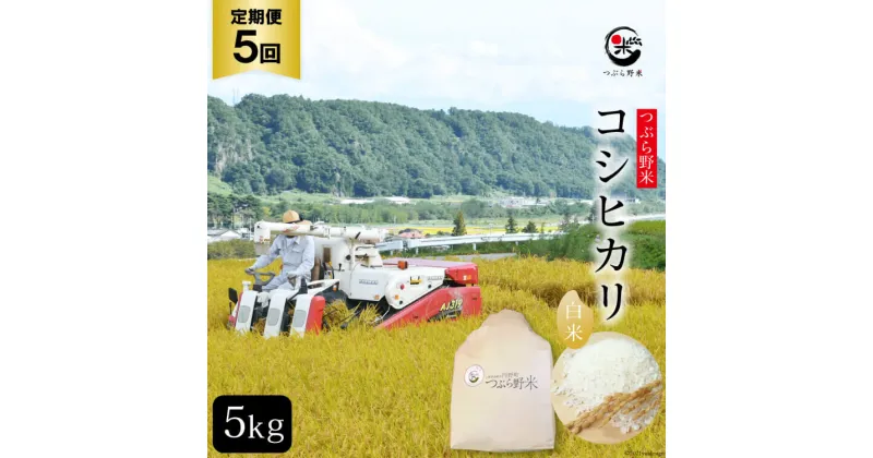 【ふるさと納税】米 5回 定期便 つぶら野米 コシヒカリ 白米 5kg×5回 総計25kg [つぶら野米 山梨県 韮崎市 20741905] こめ コメ お米 精米 こしひかり