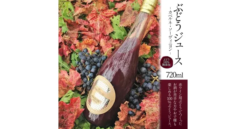 【ふるさと納税】36-1.千葉ぶどう園 ぶどうジュース(720ml) [千葉ぶどう園 山梨県 韮崎市 20742109] 果汁ジュース フルーツジュース ストレートジュース ドリンク ぶどう ブドウ 葡萄 無添加