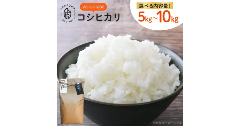 【ふるさと納税】米 令和6年 コシヒカリ 5kg 10kg 精米 おいしい お米 [IMAFUKU RICE FARM 山梨県 韮崎市 20742732] こしひかり 白米 こめ コメ おこめ 5キロ 10キロ 新米 kome