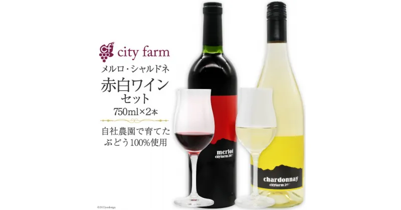 【ふるさと納税】ワイン 赤 白 飲み比べ 穂坂産 メルロ ・ 白州産 シャルドネ 750ml×各1本 計2本 お酒 [city farm 山梨県 韮崎市 20742215]