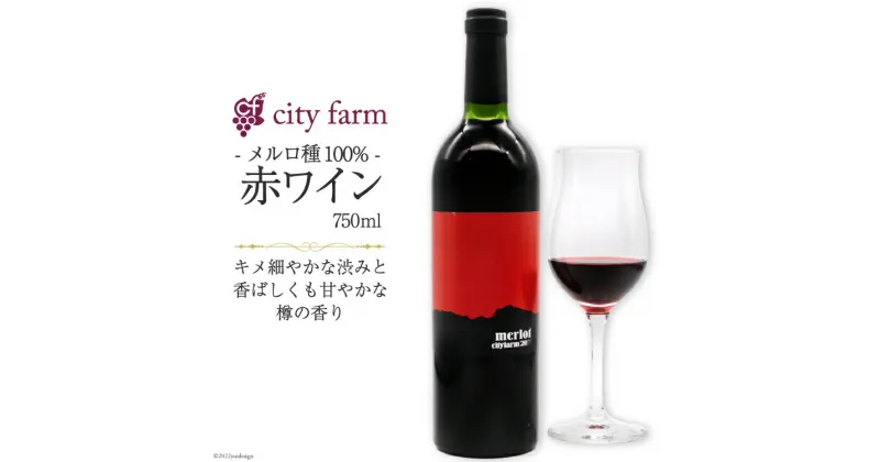 【ふるさと納税】ワイン 赤 メルロ種 750ml×1本 穂坂産 ぶどう 100%使用 お酒 [city farm 山梨県 韮崎市 20742214]