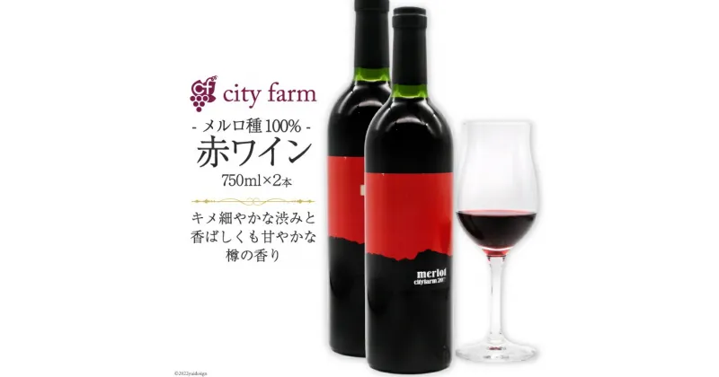 【ふるさと納税】ワイン 赤 メルロ種 750ml×2本 穂坂産 ぶどう 100%使用 お酒 / city farm / 山梨県 韮崎市