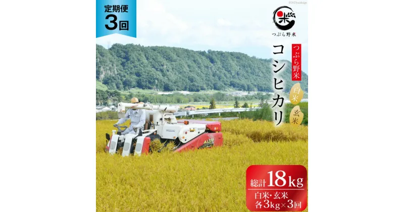 【ふるさと納税】米 3回 定期便 つぶら野米 コシヒカリ 白米3kg & 玄米3kg ×3回 総計18kg [つぶら野米 山梨県 韮崎市 20741907] こめ コメ お米 白米 精米 玄米 こしひかり