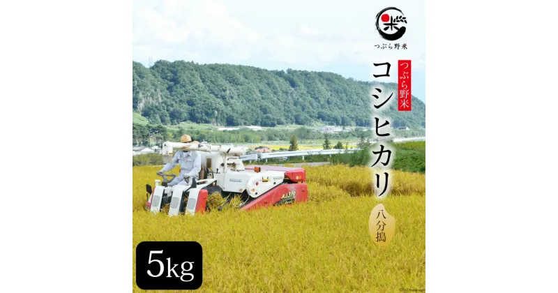 【ふるさと納税】米 令和6年 新米予約 つぶら野米 コシヒカリ 八分搗き 5kg / つぶら野米 / 山梨県 韮崎市 [20741630] こめ コメ お米 精米 こしひかり