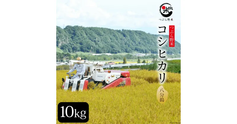 【ふるさと納税】米 令和6年 新米予約 つぶら野米 コシヒカリ 八分搗き 10kg [つぶら野米 山梨県 韮崎市 20741902] こめ コメ お米 精米 こしひかり