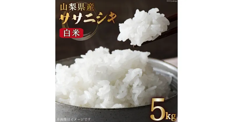 【ふるさと納税】【期間限定発送】 米 令和5年産 ササニシキ 5kg [大成農房 山梨県 韮崎市 20742136] お米 おこめ こめ コメ ご飯 ごはん 精米 白米 5キロ 高アミロース米 ささにしき 家庭用 国産 期間限定