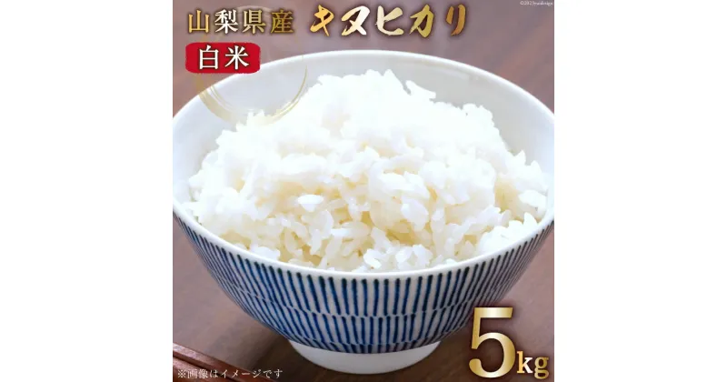 【ふるさと納税】【期間限定発送】 米 令和6年産 キヌヒカリ 5kg [大成農房 山梨県 韮崎市 20742137] お米 おこめ こめ コメ ご飯 ごはん 精米 白米 5キロ 家庭用 国産 期間限定