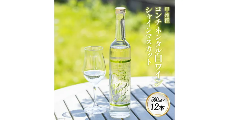 【ふるさと納税】ワイン (コンチネンタル日本ワイン) シャインマスカット 500ml×12 [ サン.フーズ 山梨県 韮崎市 20741373 ] 酒 お酒 日本ワイン 果実酒 白ワイン ぶどう マスカット ブドウ 葡萄 白 甘口 飲み物 飲料 山梨 国産 お祝い 誕生日 パーティー