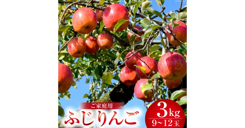 【ふるさと納税】【楽天限定 先行受付】りんご ふじ 約3kg (9～12玉) 訳あり 家庭用 数量限定 [長坂りんご園 山梨県 韮崎市20742334] 果物 果実 フルーツ 山梨 リンゴ 林檎 旬 規格外 季節限定