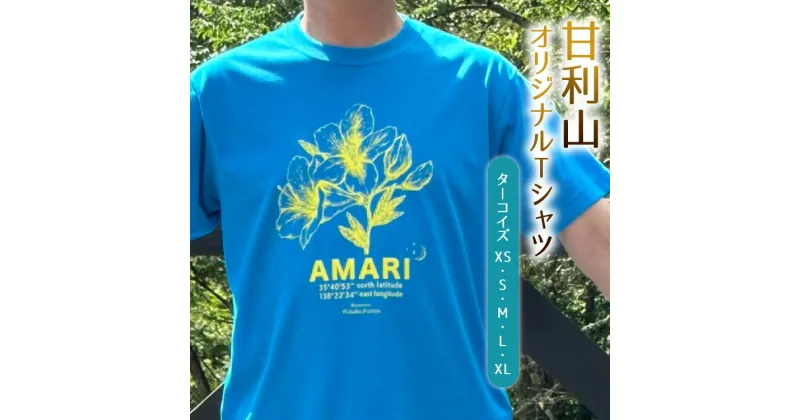 【ふるさと納税】トップス 甘利山 オリジナル Tシャツ （ ターコイズ ） [甘利山グリーンロッジ 山梨県 韮崎市 20741774] 半袖 レディース メンズ おしゃれ カジュアル アウトドア モンベル 登山 速乾性 通気性