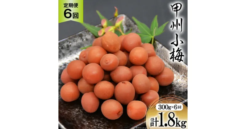 【ふるさと納税】【6回 定期便 毎月】【カリカリ】甲州小梅 300g [山梨農産食品 山梨県 韮崎市 20742549] 梅干し 梅干 うめぼし 梅 小粒 小梅 カリカリ梅 国産 おやつ