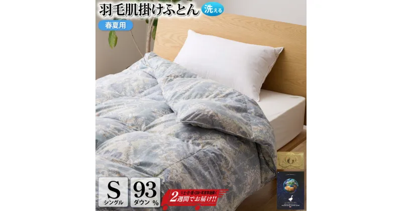 【ふるさと納税】【春夏用】洗える! 羽毛布団 ダウンケット シングル ホワイトグース93% 0.4kg 抗菌防臭 青系 [川村羽毛 山梨県 韮崎市 20742562] 羽毛 布団 ふとん 羽毛ふとん 掛け布団 肌掛け布団 寝具 夏用 洗える