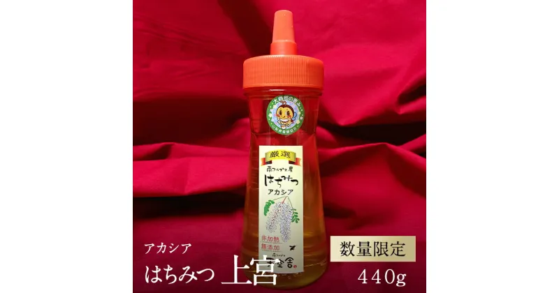 【ふるさと納税】南アルプス天空舎が贈る上宮地産アカシアはちみつ 440gドレッシングボトル＜出荷開始：2023年5月以降に新たな採取アカシアはちみつを発送＞【糖度80%以上 地域発信ブランド 南アルプス天空舎 山梨県 南アルプス市 】