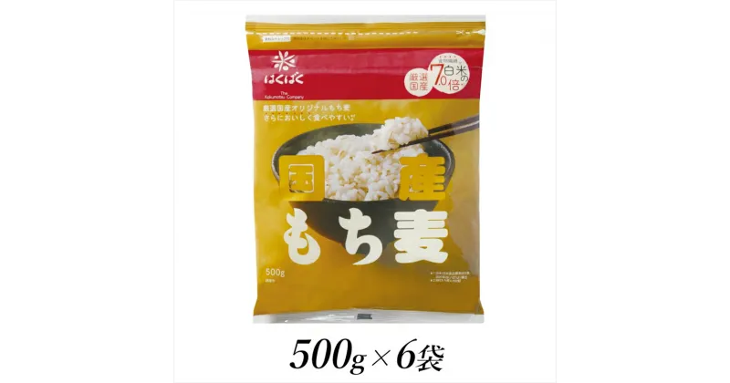 【ふるさと納税】はくばく　国産もち麦　500g×6個【はくばく 国産もち麦 500g×6個 洗ったお米に混ぜるだけ もちもちプチプチした食感と香り高い味わい 山梨県 南アルプス市 】