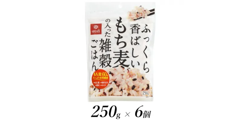 【ふるさと納税】はくばく ふっくら香ばしいもち麦の入った雑穀ごはん 250g × 6個【 山梨県中央市・南アルプス市共通返礼品】【 もち麦 発芽玄米 キヌア はと麦 雑穀 雑穀ご飯 雑穀米 小分タイプ おいしい 備蓄 小分け 保存食 山梨県 南アルプス市 】