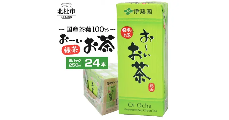 【ふるさと納税】お茶 伊藤園 おーいお茶 緑茶 国産茶葉 紙パック 1ケース24本 250ml ケース ドリンク 配達 紙パック お弁当 仕送りギフト 防災