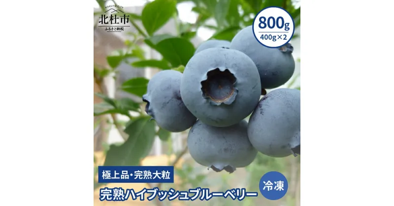 【ふるさと納税】 ブルーベリー 冷凍 完熟 大粒 甘い 人気 800g 400g×2パック 八ヶ岳南麓育ち 送料無料