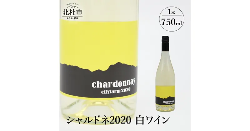 【ふるさと納税】 ワイン 白ワイン シャルドネ2020 750ml 白州産 シャルドネ種100% 送料無料