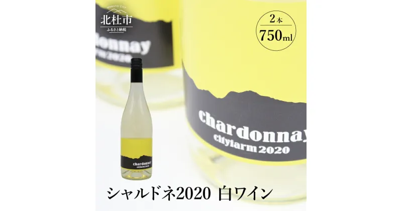 【ふるさと納税】ワイン 白ワイン シャルドネ2020 750ml×2本セット 白州産 シャルドネ種100% 送料無料