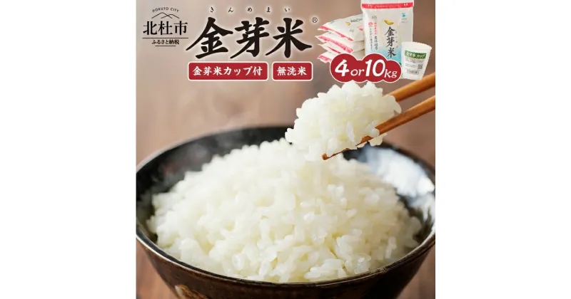 【ふるさと納税】 【 令和6年度新米 先行予約 】米 令和6年度米 無洗米 選べる容量 4kg 10kg 選べるお届け回数 1回～12回 定期便 金芽米 農林48号 特別栽培米 お米 ごはん 国産 ブランド米 健康食品 山梨県 北杜市産 送料無料