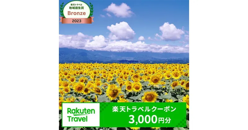 【ふるさと納税】山梨県北杜市の対象施設で使える楽天トラベルクーポン 寄付額10,000円 体験