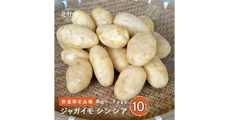 【ふるさと納税】 数量限定 ジャガイモ シンシア 濃厚 ほくほく ねっとり しっとり食感 10kg フランス原産 送料無料