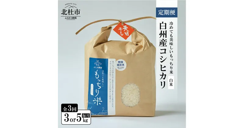 【ふるさと納税】 定期便 米 コシヒカリ 白米 令和6年度米 3ヶ月定期便 選べる 容量 3kg 5kg 全3回 天日干し米 白州産 精米 もっちり米 特別栽培米 貴重 もちもち おにぎり お弁当 【令和6年度新米先行予約】 送料無料