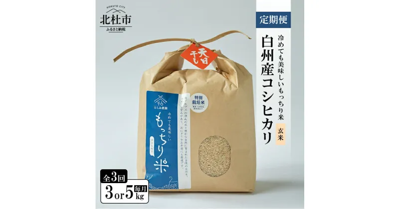 【ふるさと納税】 定期便 米 コシヒカリ 令和6年度米 3ヶ月定期便 選べる 容量 3kg 5kg 全3回 天日干し米 白州産 玄米 もっちり米 特別栽培米 貴重 もちもち おにぎり お弁当 【令和6年度新米先行予約】 送料無料