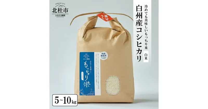 【ふるさと納税】 米 コシヒカリ 令和6年度米 白米 選べる容量 5kg 6kg 10kg 天日干し米 白州産 精米 もっちり米 特別栽培米 貴重 もちもち おにぎり お弁当 【令和6年度新米先行予約】 送料無料