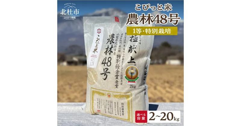 【ふるさと納税】 米 精米 【令和6年度米】 選べる容量 2kg 4kg 20kg 農林48号 1等特別栽培米 100％ よんぱち 幻のお米 こぴっと 令和6年産 北杜市産 送料無料